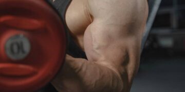 10 Tips to Gain Muscle Like a Pro